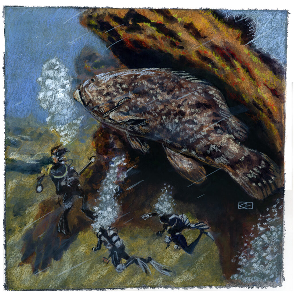 Sea Goliath